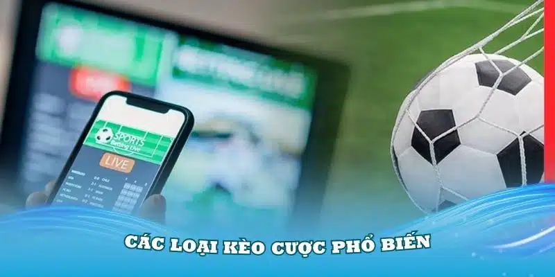 Các loại kèo cược phổ biến nhất đang có tại nhà cái