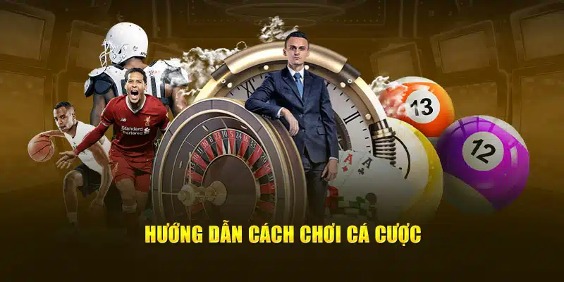 Hướng dẫn cách chơi cá cược 