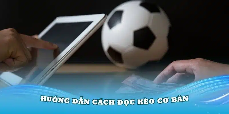 Hướng dẫn thành viên biết cách đọc kèo cơ bản trong bóng đá